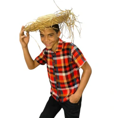 Camisa Infantil Xadrez Viscolino festa junina diversas cores na internet