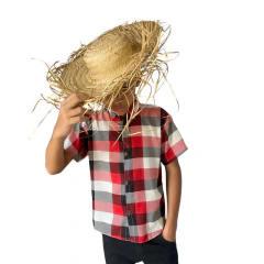 Camisa Infantil Xadrez Viscolino festa junina diversas cores - loja online