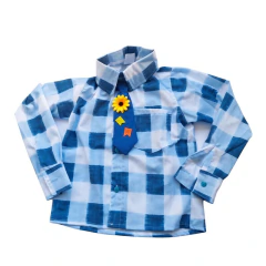 Camisa Manga Longa xadrez azul com branco na internet