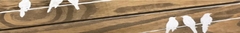 Banner da categoria Placas e Quadros