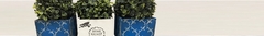 Banner da categoria Arranjos Florais - Vasos e Cachepôs