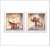 Kit Quadros Lavabo Banheiro Decoração Toalete Banheiras