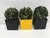 Cachepô Vaso Decorativo c 3 e Planta Artificial Preto e Amarelo