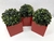 Cachepô Vaso Decorativo Vermelho c Planta Artificial Kit c 3