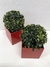 Cachepô Vaso Decorativo Vermelho c Planta Artificial Kit c 2