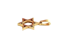 Pingente Estrela de Davi Pequena Aço Banho Dourado - PGAÇ0036 - comprar online