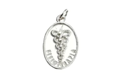 Pingente Profissão Fisioterapia Prata 925 - PGPR0043