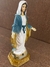Nossa Senhora das Graças - 17 cm - comprar online