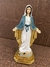 Nossa Senhora das Graças - 17 cm