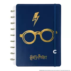 CI Harry Potter