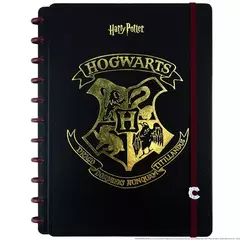 CI Harry Potter
