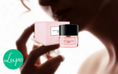 Paula Cahen D'anvers - Perfumes 100ml en internet