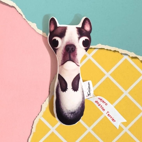 Sonajero Boston terrier