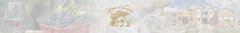 Banner da categoria Leone di Venezia
