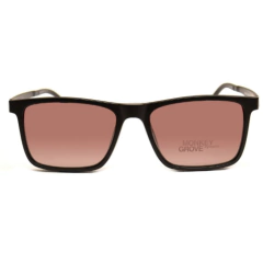 MG 433- 2 en internet