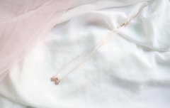 Imagem do Colares Princess ( encomenda )