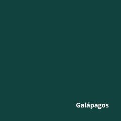 BALLY POWER BASIC - comprar online