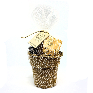 Kit Siembra Turba Letonia y papel reciclado
