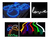 Imagen de Manguera Luces Neon Led Flexible Color Fijo Por 1 Metro Ip67