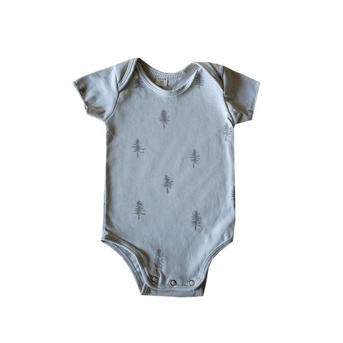 Body gris pinito