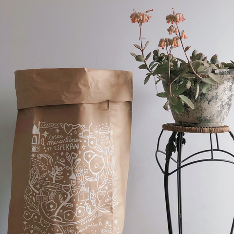 Bolsa de papel “Cosas maravillosas te espera"