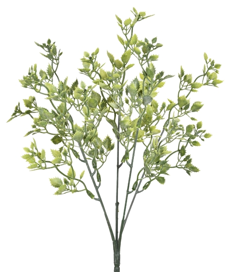 BUQUÊ GRAMA VERDE COM 5 HASTES