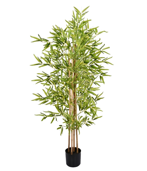 BAMBU TOQUE REAL VERDE 1,65M - 4 HASTES