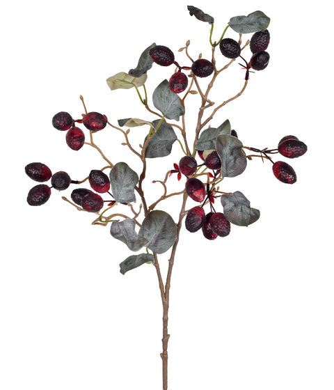 FRUTAS SILVESTRES VERMELHA - HASTE