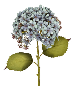 HORTÊNSIA AZUL OUTONO - HASTE