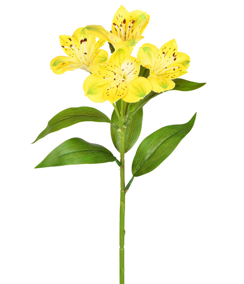AMARÍLIS SPRAY (ASTROMELIA) AMARELO - 4 HASTES
