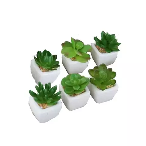 VASO MINI COM SUCULENTA PERMANENTE - UNIDADE