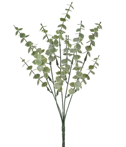 BUQUÊ GRAMA VERDE 1 HASTE COM 5 GALHOS