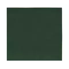 GUARDANAPO DE TECIDO HOME VERDE FLORESTA 45x45CM - CONJUNTO COM 4