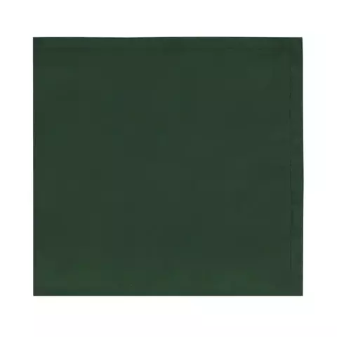 GUARDANAPO DE TECIDO HOME VERDE FLORESTA 45x45CM - CONJUNTO COM 4