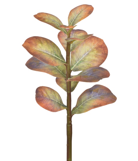 OUTONADA AMARELA - HASTE