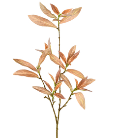HASTE FOLHAS SKIMMIA 3D LATTE