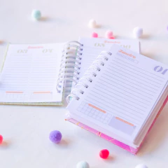Mini Agenda Neutra DATADA - A6