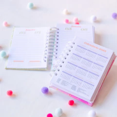 Mini Agenda Neutra DATADA - A6 - comprar online