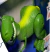Rex Toy Story Juguete A Control Remoto Disney Pixar - Te Lo Importo SAS