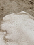 Lona GRULLA - comprar online