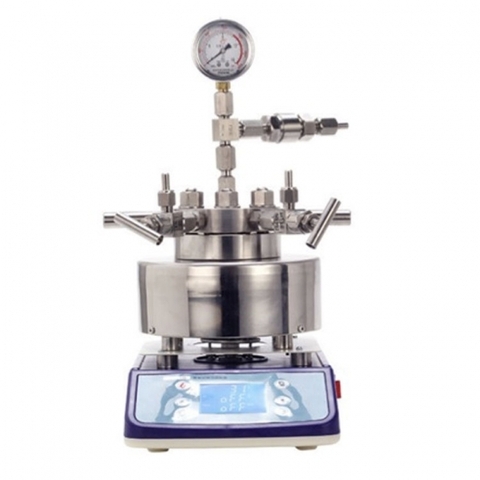 Reactor de alta presión de reacción de hidrogenación de acero inoxidable de 10 ml-200 ml de laboratorio