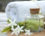 Toalla Hotelera Blanco 500g - comprar online
