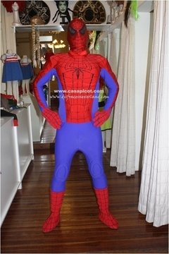 Hombre Araña (6) (Espalda)