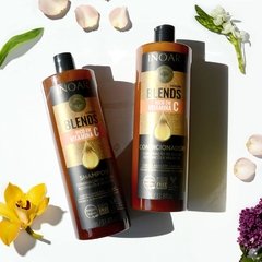 Kit Shampoo + Condicionador Blends 2x1000ml Inoar na internet