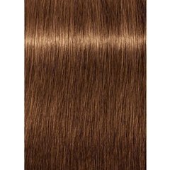 Água Oxigenada 6% 20 Vol 60ml + Coloração 7-55 Louro Médio Dourado Extra 60g Igora Royal Schwarzkopf - comprar online