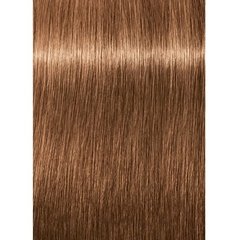 Água Oxigenada 6% 20 Vol 60ml + Coloração 7-65 Louro Médio Marrom Dourado 60g Igora Royal Schwarzkopf - comprar online