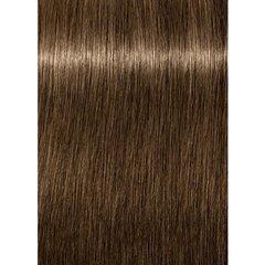Coloração 7-00 Louro Médio Natural Extra Igora Royal Schwarzkopf 60g - comprar online