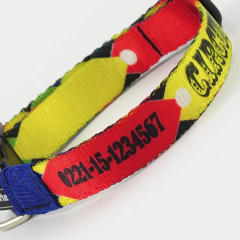 Collar "Circus" (gato) - comprar online