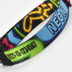 Collar "Neon" (gato) - comprar online