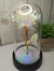 Rosa eterna em cúpula luminária led - comprar online